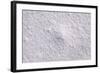 Salt Crystals close Up-isabela66-Framed Photographic Print