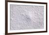 Salt Crystals close Up-isabela66-Framed Photographic Print