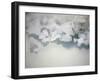 Salt Crystals-Nicole Katano-Framed Photo