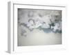 Salt Crystals-Nicole Katano-Framed Photo