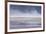 Salt Dust Shrouds James' Flamingos Foraging in Laguna Colorada-Alex Saberi-Framed Photographic Print