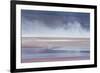 Salt Dust Shrouds James' Flamingos Foraging in Laguna Colorada-Alex Saberi-Framed Photographic Print