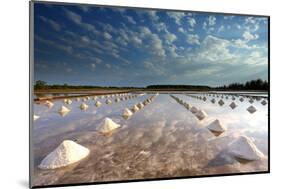 Salt Farm in Eastern, Thailand-isarescheewin-Mounted Photographic Print