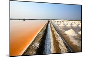 Salt Fields at Phetchaburi, Thailand-isarescheewin-Mounted Photographic Print