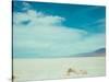 Salt Flat Walk I-Sonja Quintero-Stretched Canvas