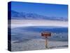 Salt Flats Badwater Death Valley, California, Nevada, USA-Nigel Francis-Stretched Canvas