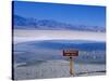 Salt Flats Badwater Death Valley, California, Nevada, USA-Nigel Francis-Stretched Canvas