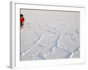 Salt Flats Beside Lac Assal in Rift Valley 152M Below Sea Level, Afar Triangle, Djibouti, Africa-Tony Waltham-Framed Photographic Print