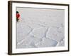 Salt Flats Beside Lac Assal in Rift Valley 152M Below Sea Level, Afar Triangle, Djibouti, Africa-Tony Waltham-Framed Photographic Print