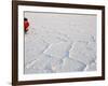 Salt Flats Beside Lac Assal in Rift Valley 152M Below Sea Level, Afar Triangle, Djibouti, Africa-Tony Waltham-Framed Photographic Print