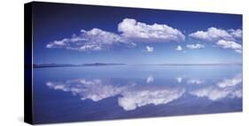 Salt Flats-Chris Simpson-Stretched Canvas