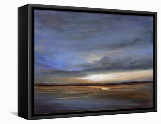 Salt Flats-Sheila Finch-Framed Stretched Canvas