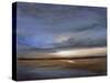 Salt Flats-Sheila Finch-Stretched Canvas