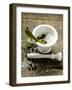 Salt, Juniper Berries, Rosemary and Bay Leaf in Mortar-Foodcollection-Framed Photographic Print