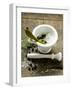 Salt, Juniper Berries, Rosemary and Bay Leaf in Mortar-Foodcollection-Framed Photographic Print