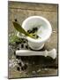 Salt, Juniper Berries, Rosemary and Bay Leaf in Mortar-Foodcollection-Mounted Photographic Print