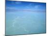 Salt-Laden Water of Lagunada Salada in the Salar de Atacama, Salt Flat, Atacama Desert, Chile-Lin Alder-Mounted Photographic Print