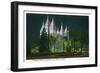 Salt Lake City, Utah, Exterior View of the Mormon Temple Illuminated at Night-Lantern Press-Framed Art Print