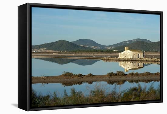 Salt Lake, Ses Salines Natural Park, Ibiza, Balearic Islands, Spain, Mediterranean, Europe-Emanuele Ciccomartino-Framed Stretched Canvas