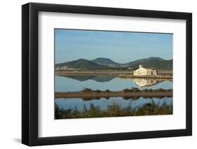 Salt Lake, Ses Salines Natural Park, Ibiza, Balearic Islands, Spain, Mediterranean, Europe-Emanuele Ciccomartino-Framed Photographic Print