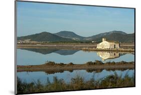 Salt Lake, Ses Salines Natural Park, Ibiza, Balearic Islands, Spain, Mediterranean, Europe-Emanuele Ciccomartino-Mounted Photographic Print