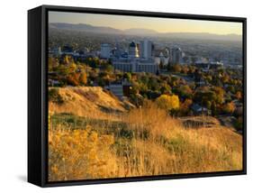 Salt Lake Valley in Autumn, Salt Lake City, Utah-Scott T. Smith-Framed Stretched Canvas