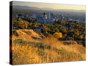 Salt Lake Valley in Autumn, Salt Lake City, Utah-Scott T. Smith-Stretched Canvas