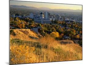 Salt Lake Valley in Autumn, Salt Lake City, Utah-Scott T. Smith-Mounted Photographic Print