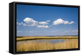 Salt Marsh, Amrum Island, Northern Frisia, Schleswig-Holstein, Germany-Sabine Lubenow-Framed Stretched Canvas