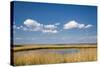 Salt Marsh, Amrum Island, Northern Frisia, Schleswig-Holstein, Germany-Sabine Lubenow-Stretched Canvas
