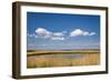 Salt Marsh, Amrum Island, Northern Frisia, Schleswig-Holstein, Germany-Sabine Lubenow-Framed Photographic Print