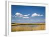 Salt Marsh, Amrum Island, Northern Frisia, Schleswig-Holstein, Germany-Sabine Lubenow-Framed Photographic Print