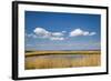 Salt Marsh, Amrum Island, Northern Frisia, Schleswig-Holstein, Germany-Sabine Lubenow-Framed Photographic Print