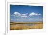 Salt Marsh, Amrum Island, Northern Frisia, Schleswig-Holstein, Germany-Sabine Lubenow-Framed Photographic Print