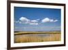 Salt Marsh, Amrum Island, Northern Frisia, Schleswig-Holstein, Germany-Sabine Lubenow-Framed Photographic Print