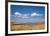 Salt Marsh, Amrum Island, Northern Frisia, Schleswig-Holstein, Germany-Sabine Lubenow-Framed Photographic Print