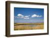 Salt Marsh, Amrum Island, Northern Frisia, Schleswig-Holstein, Germany-Sabine Lubenow-Framed Photographic Print