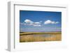 Salt Marsh, Amrum Island, Northern Frisia, Schleswig-Holstein, Germany-Sabine Lubenow-Framed Photographic Print