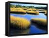 Salt Marsh at Sunrise, Estuary of New Meadow River in Early Autumn, Maine, Usa-Scott T^ Smith-Framed Stretched Canvas