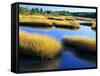 Salt Marsh at Sunrise, Estuary of New Meadow River in Early Autumn, Maine, Usa-Scott T^ Smith-Framed Stretched Canvas