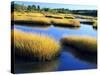 Salt Marsh at Sunrise, Estuary of New Meadow River in Early Autumn, Maine, Usa-Scott T^ Smith-Stretched Canvas