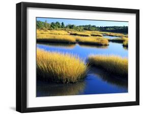 Salt Marsh at Sunrise, Estuary of New Meadow River in Early Autumn, Maine, Usa-Scott T^ Smith-Framed Photographic Print