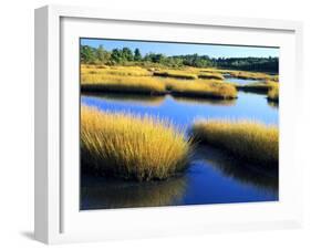 Salt Marsh at Sunrise, Estuary of New Meadow River in Early Autumn, Maine, Usa-Scott T^ Smith-Framed Photographic Print