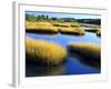 Salt Marsh at Sunrise, Estuary of New Meadow River in Early Autumn, Maine, Usa-Scott T^ Smith-Framed Photographic Print