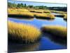 Salt Marsh at Sunrise, Estuary of New Meadow River in Early Autumn, Maine, Usa-Scott T^ Smith-Mounted Photographic Print