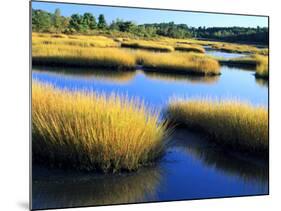 Salt Marsh at Sunrise, Estuary of New Meadow River in Early Autumn, Maine, Usa-Scott T^ Smith-Mounted Photographic Print