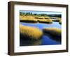 Salt Marsh at Sunrise, Estuary of New Meadow River in Early Autumn, Maine, Usa-Scott T^ Smith-Framed Photographic Print