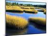 Salt Marsh at Sunrise, Estuary of New Meadow River in Early Autumn, Maine, Usa-Scott T^ Smith-Mounted Photographic Print