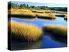 Salt Marsh at Sunrise, Estuary of New Meadow River in Early Autumn, Maine, Usa-Scott T^ Smith-Stretched Canvas