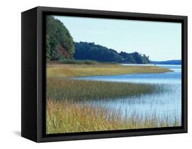 Salt Marsh Bordering the Royal River, Maine, USA-Jerry & Marcy Monkman-Framed Stretched Canvas